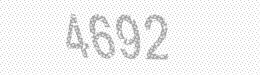 Visual security code — type the characters shown in the image